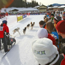 normal_09012011huskywm2aktivnews_091.jpg