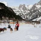 normal_09012011huskywm2aktivnews_094.jpg