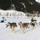 normal_09012011huskywm2aktivnews_095.jpg