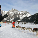 normal_09012011huskywm2aktivnews_097.jpg