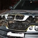 Bilder des Wagens