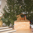 DSC05023.JPG