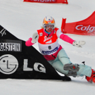 09012011fisbadgasteinmbaktivnews004.jpg