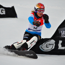 09012011fisbadgasteinmbaktivnews006.jpg