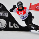 09012011fisbadgasteinmbaktivnews007.jpg