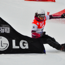 09012011fisbadgasteinmbaktivnews009.jpg
