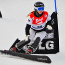 09012011fisbadgasteinmbaktivnews016.jpg