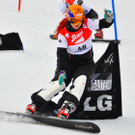 09012011fisbadgasteinmbaktivnews020.jpg