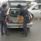 normal_10012010vusterneckmwaktivnews_18.jpg