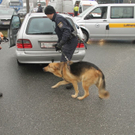 normal_10012010vusterneckmwaktivnews_24.jpg