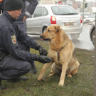 normal_10012010vusterneckmwaktivnews_27.jpg