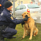 normal_10012010vusterneckmwaktivnews_36.jpg