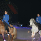 normal_09012011apassionatamuenchen_016.jpg