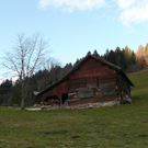 P1080194.JPG