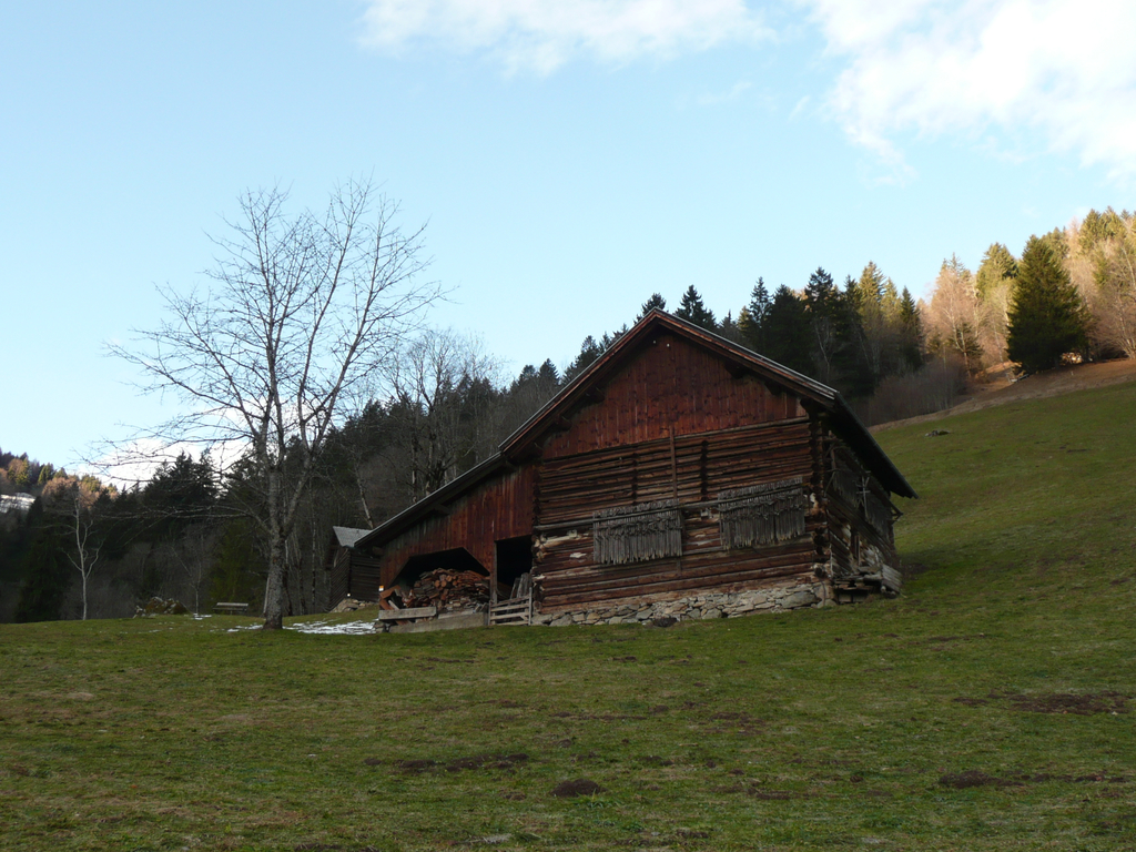 P1080194.JPG
