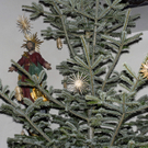 120_bearbeitet-3_jpg-1294772199