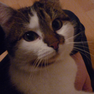 P1030973_JPG-1294775886