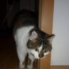 P1030980_JPG-1294776143