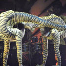 108_5700_jpg-1294787276