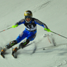 11012011fisflachauslmbaktivnews005.jpg