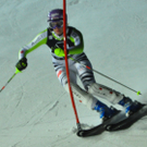 11012011fisflachauslmbaktivnews009.jpg