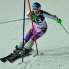 11012011fisflachauslmbaktivnews015.jpg