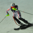 11012011fisflachauslmbaktivnews016.jpg