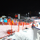 11012011fisflachauslmbaktivnews030.jpg