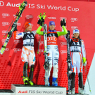 11012011fisflachauslmbaktivnews098.jpg