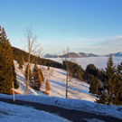 normal_11012011gaisbergnebelwm2aktivnews_03.jpg
