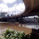 IBD0114-20110112.jpg