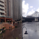 IBD0117-20110112.jpg
