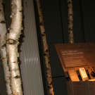 IMG_0118_JPG-1294838228