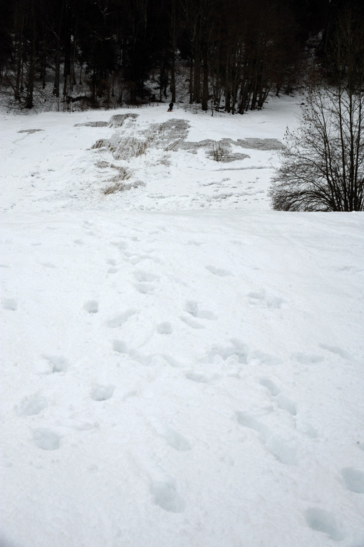 DSC_1402_jpg-1294834837