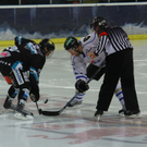 normal_11012010oilerslinztaaktivnews_02.jpg