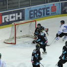 normal_11012010oilerslinztaaktivnews_30.jpg