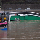 IBD0295-20110113.jpg