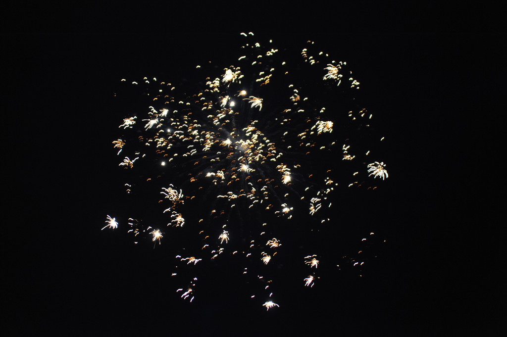 DSC_1745_JPG-1294920454