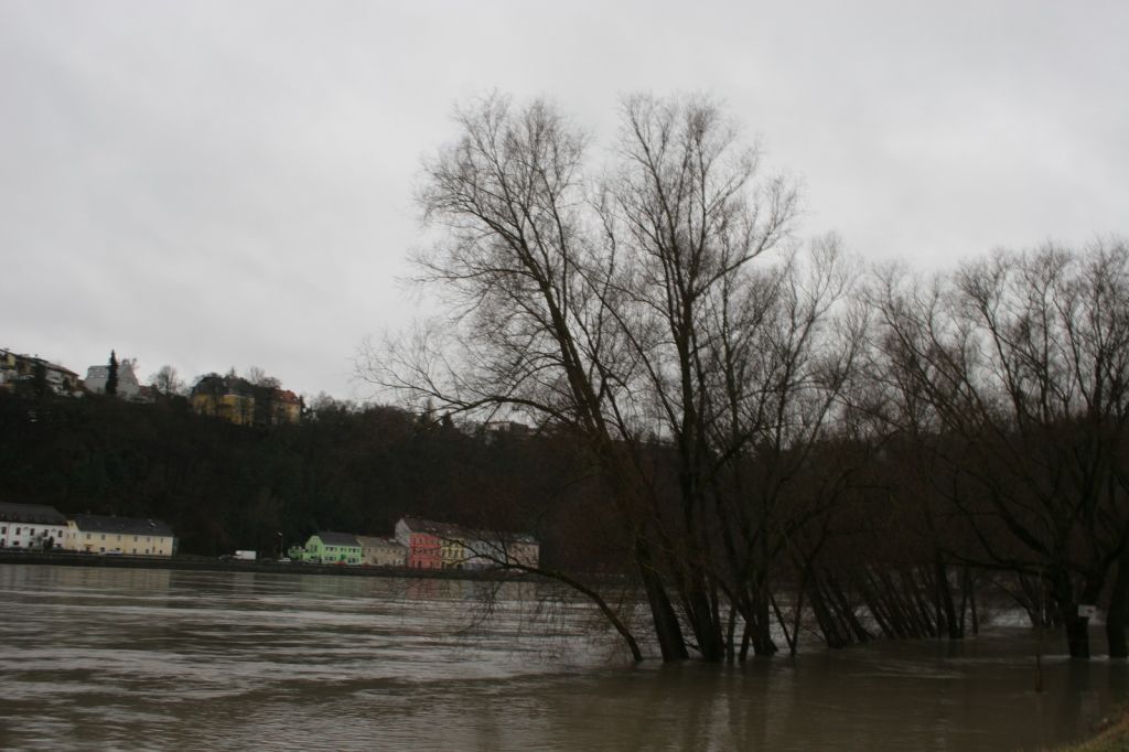 normal_14012010hochwasserlinzthaktivnews001.jpg