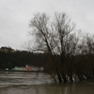 Bilder: Donau tritt über Ufer