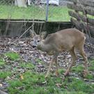 IMG_2489.JPG