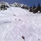 15012011383_jpg-1295114831