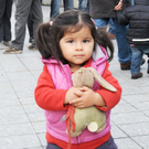 Narro hoi 15_01_2011 54_jpg-1295115381