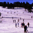 skipiste net_bmp_jpg-1295120826