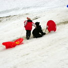 108_6875_jpg-1295120920