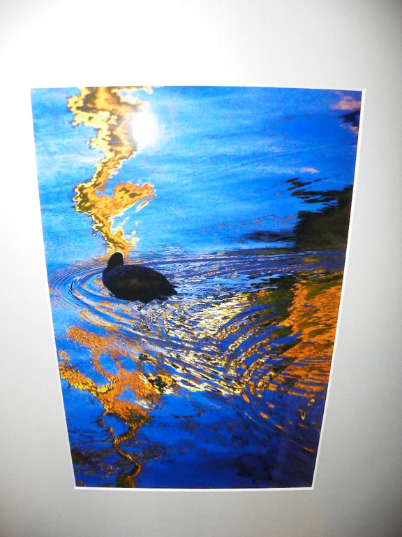 108_7117_jpg-1295123393