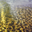 108_7125_jpg-1295123438