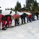 108_6706_jpg-1295135436