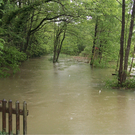 P0000717.jpg