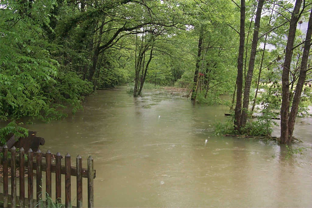 P0000717.jpg